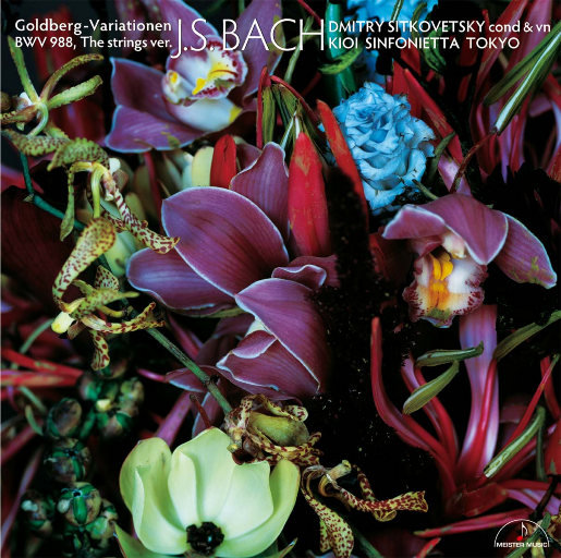 滋润刚结婚少妇
